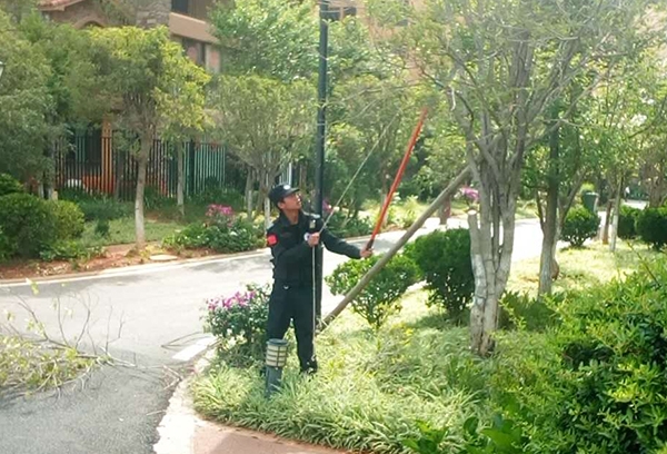 小區(qū)安全檢查中的保安